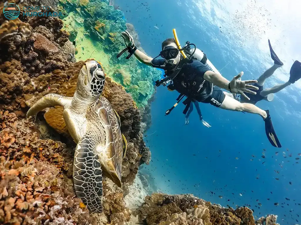 Diving Trip – Hurghada