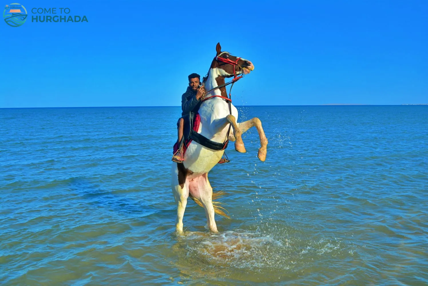 Horse Riding